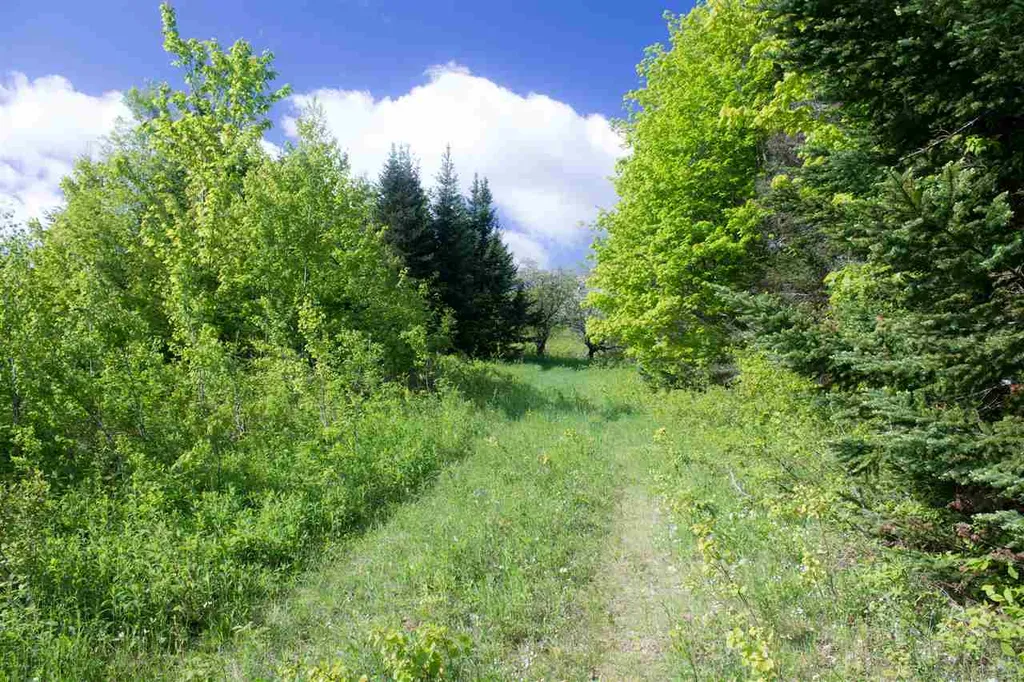 714 Batchelder Road Washington VT 05675