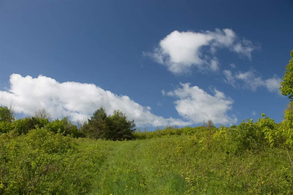 714 Batchelder Road Washington VT 05675