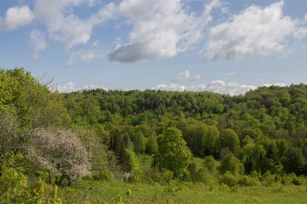 714 Batchelder Road Washington VT 05675