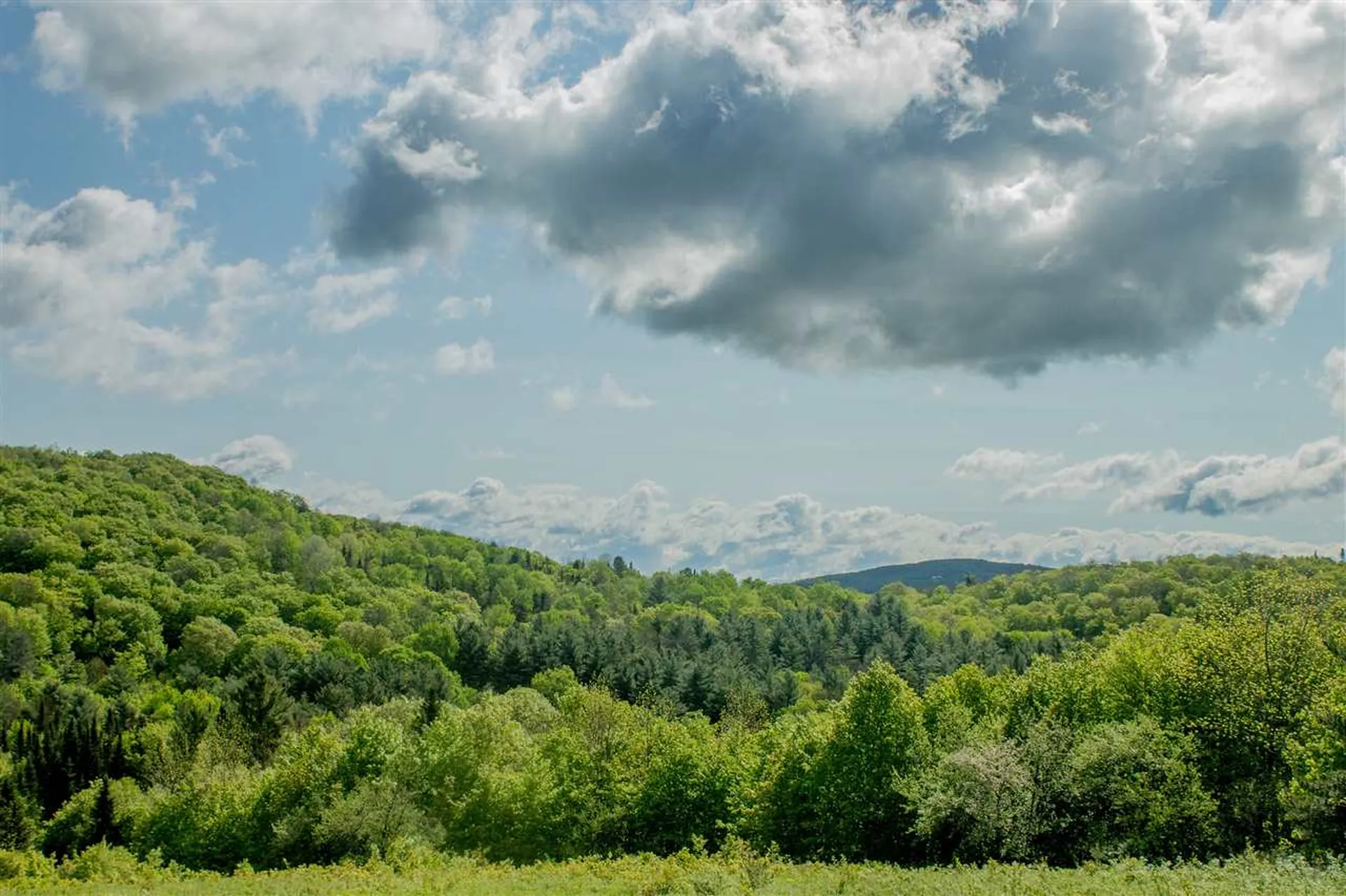 714 Batchelder Road Washington VT 05675