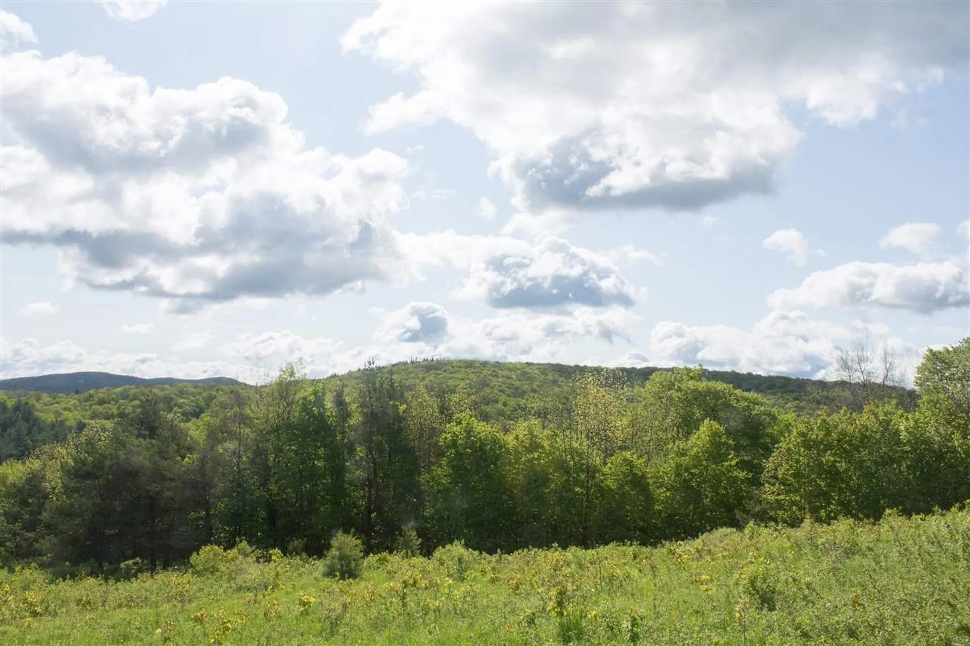 714 Batchelder Road Washington VT 05675