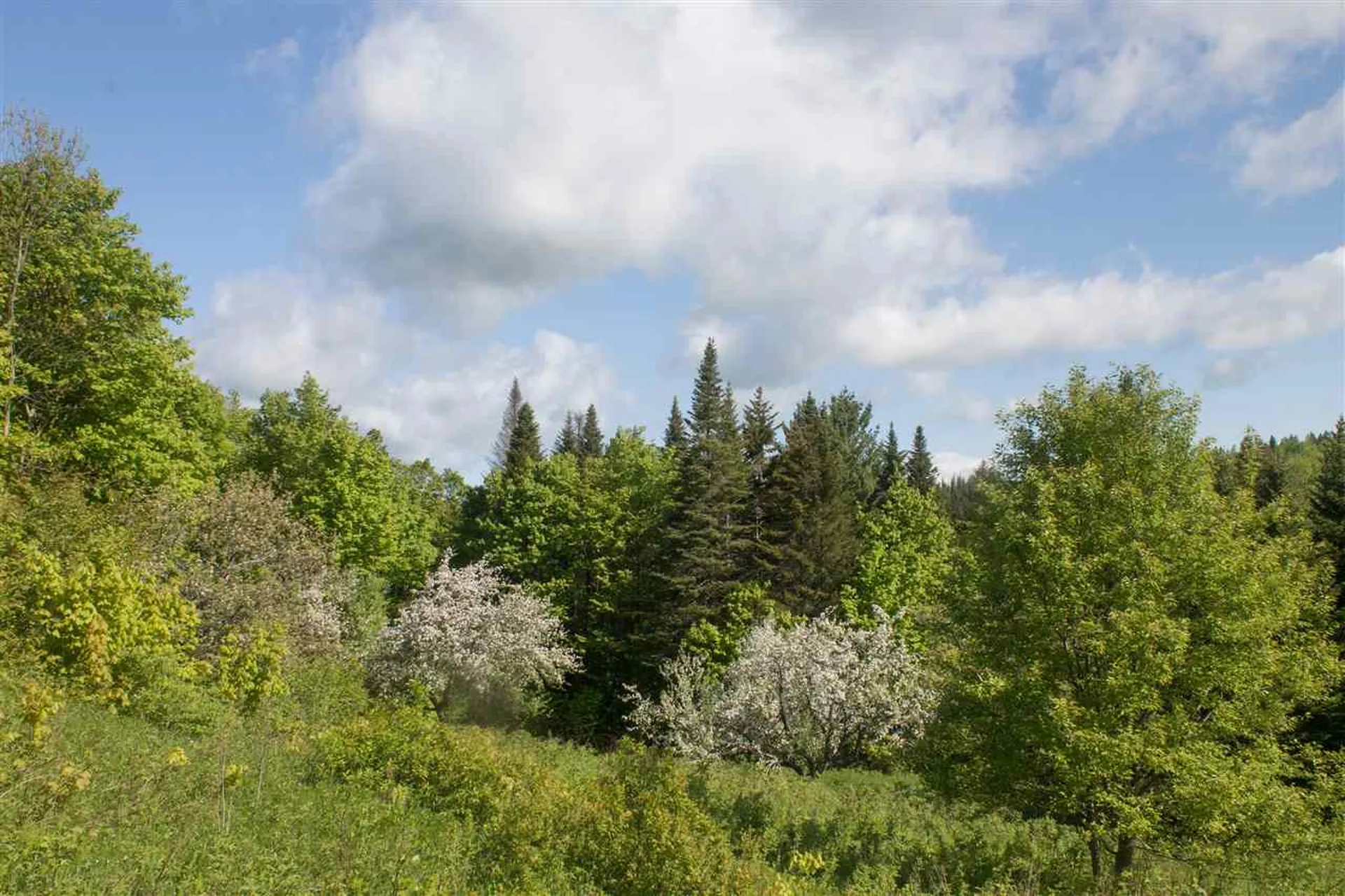 714 Batchelder Road Washington VT 05675