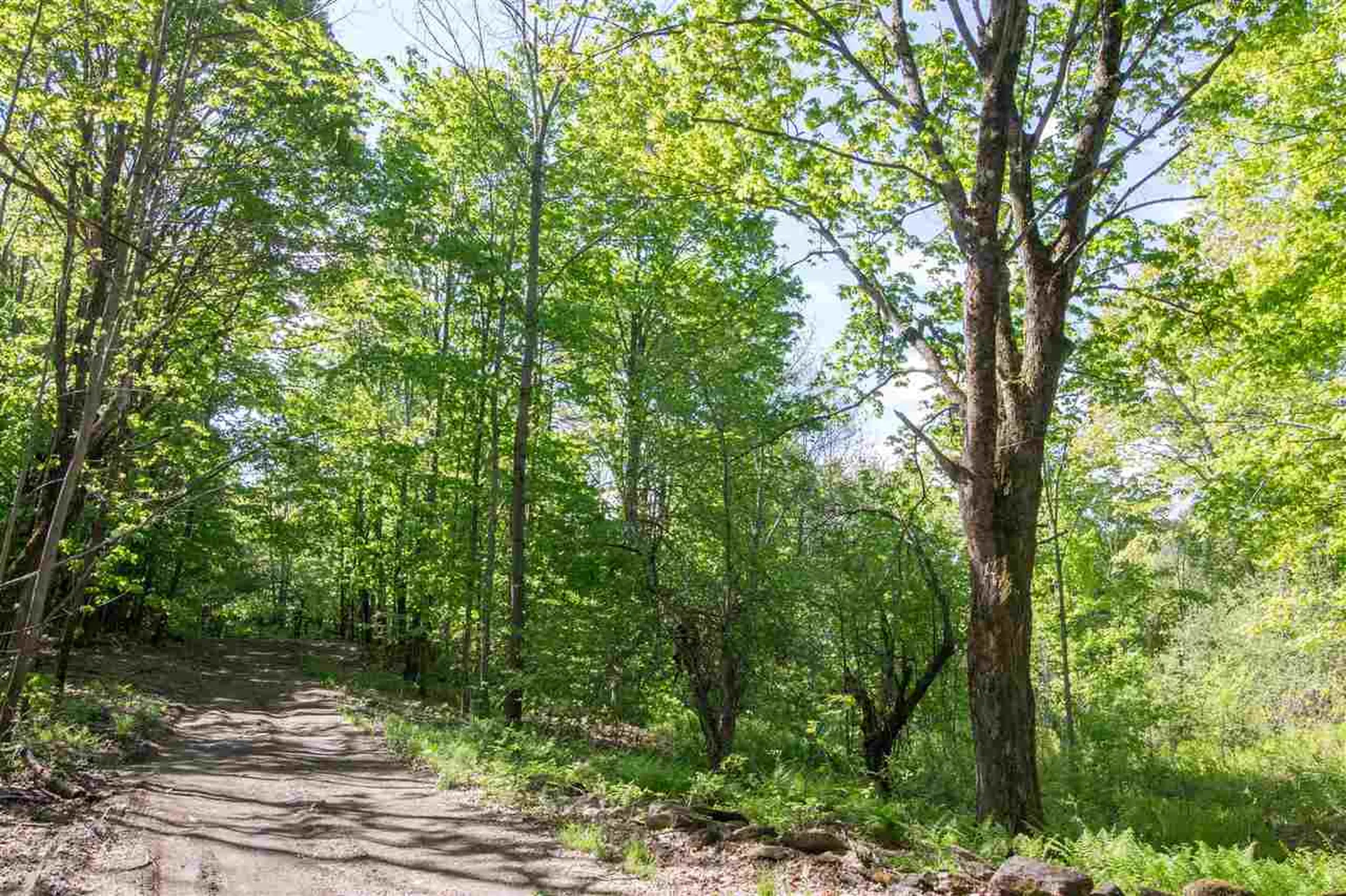 714 Batchelder Road Washington VT 05675