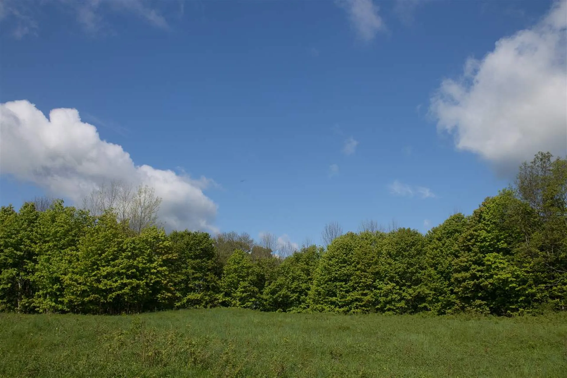 714 Batchelder Road Washington VT 05675