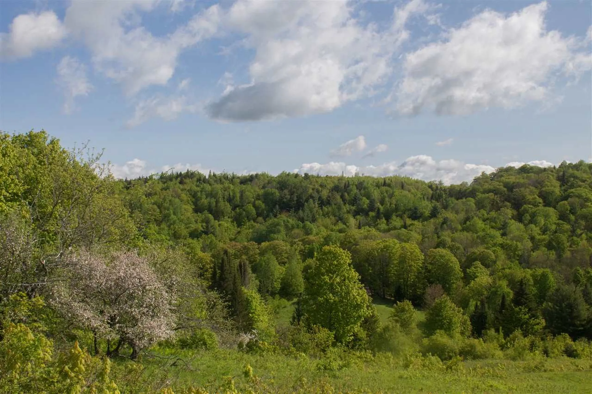 714 Batchelder Road Washington VT 05675