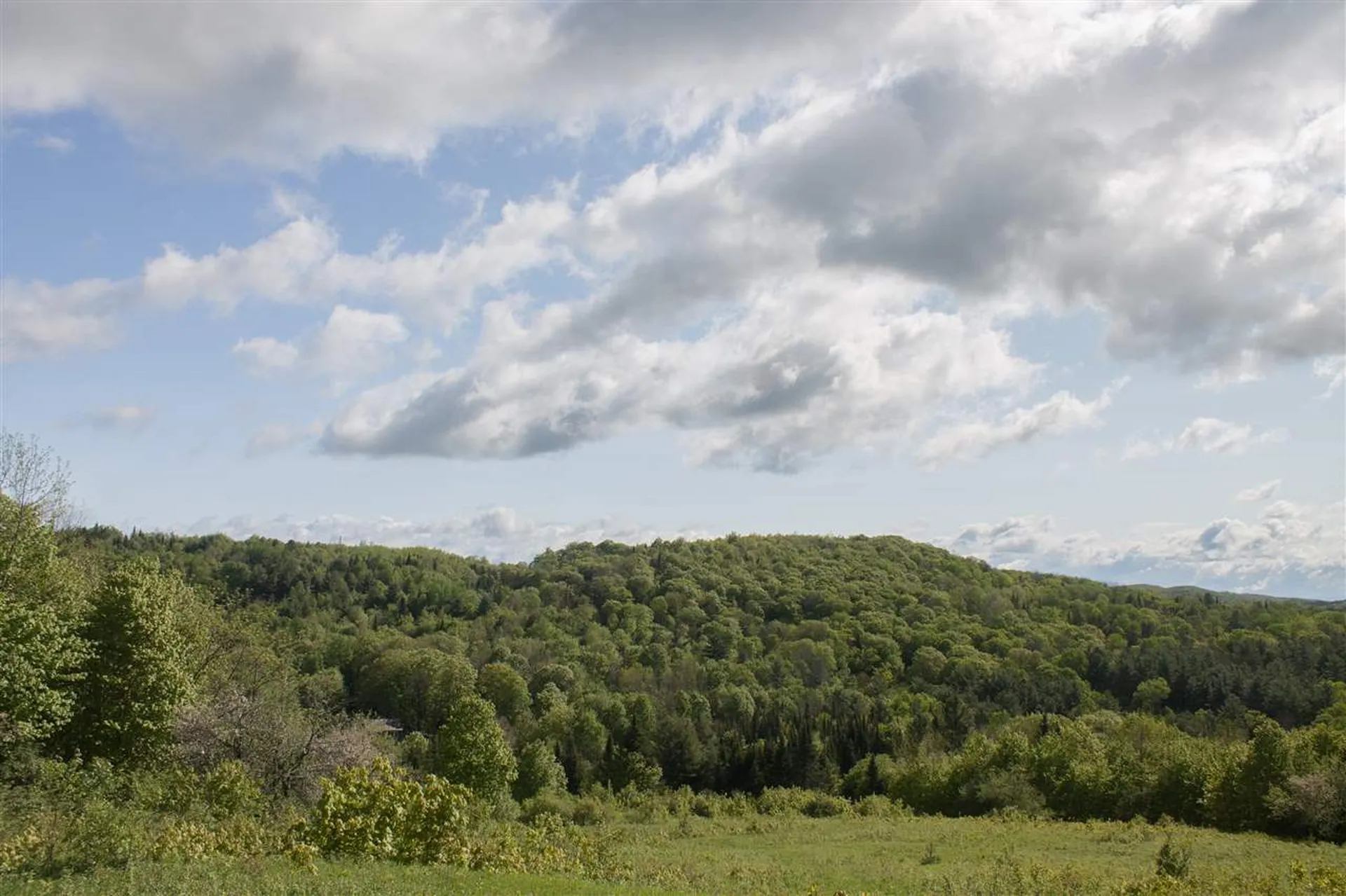 714 Batchelder Road Washington VT 05675