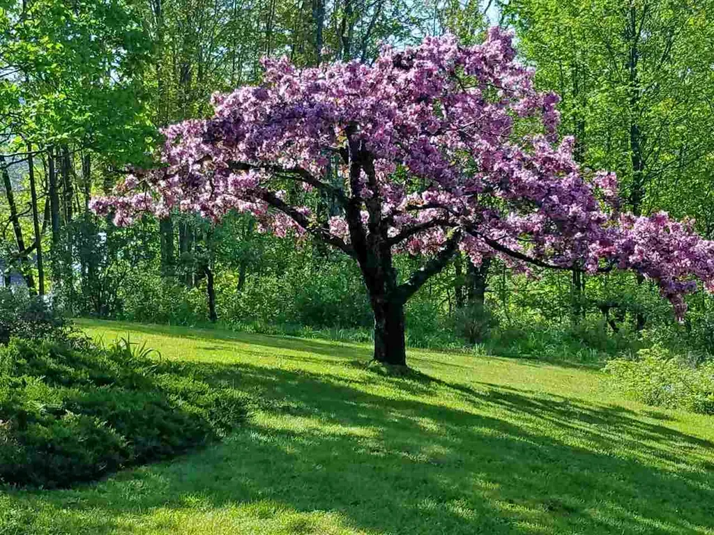 886 West Hill Road Warren VT 05674