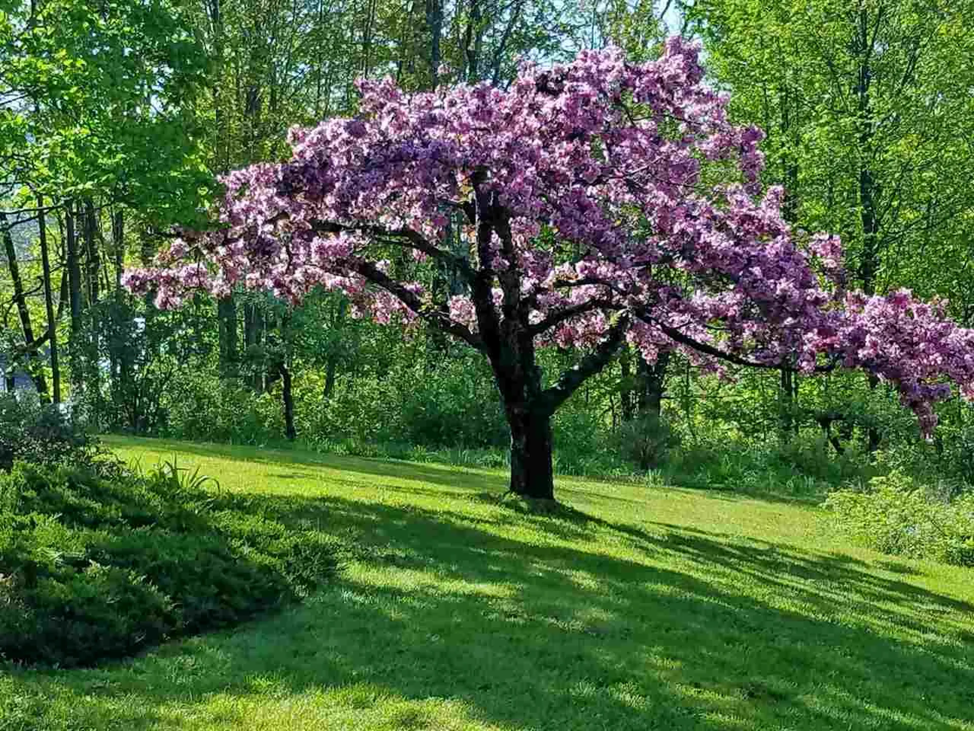 886 West Hill Road Warren VT 05674