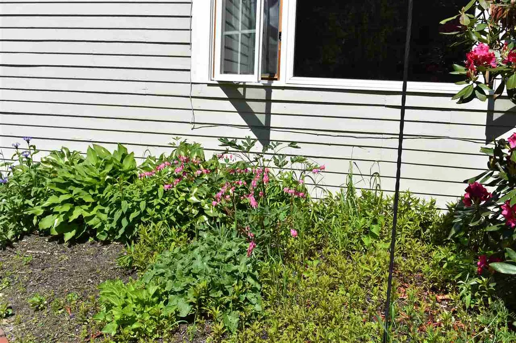 970 Main Street Grafton NH 03240
