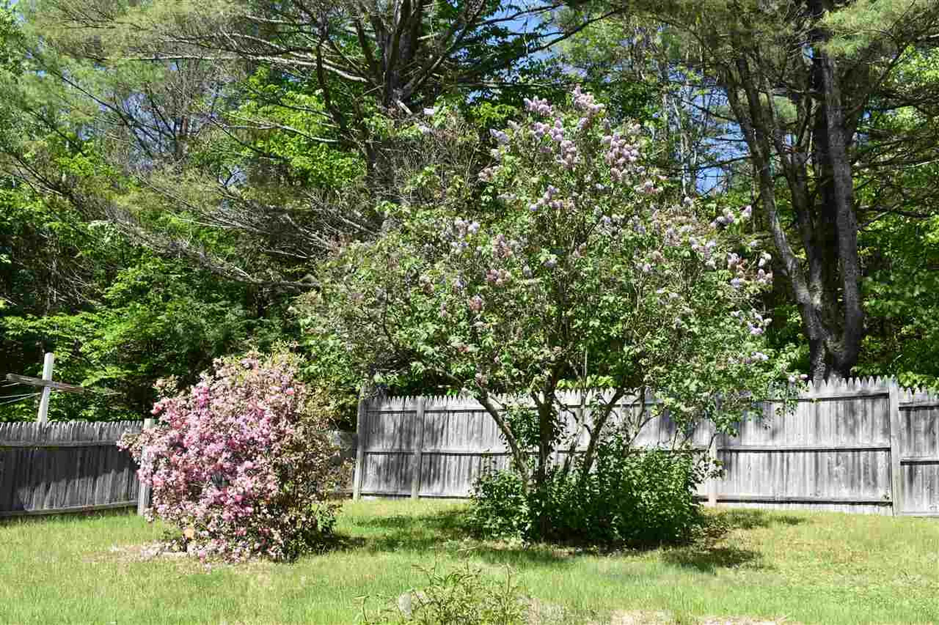 970 Main Street Grafton NH 03240