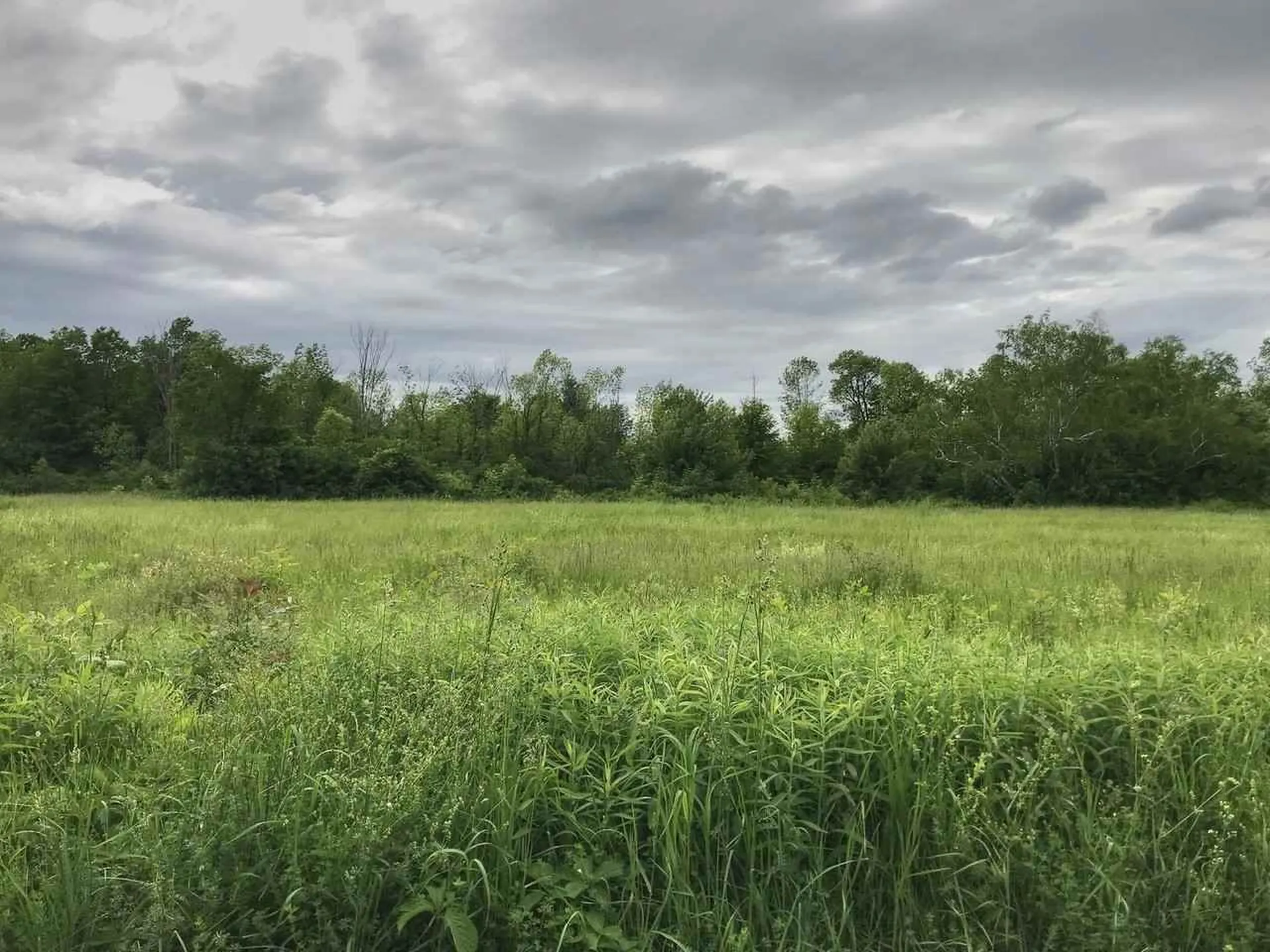 493 Ferry Road Charlotte VT 05445