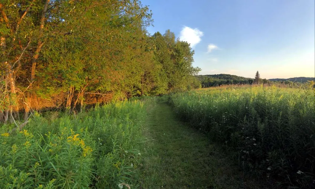 3669 E Hill Road Plainfield VT 05667