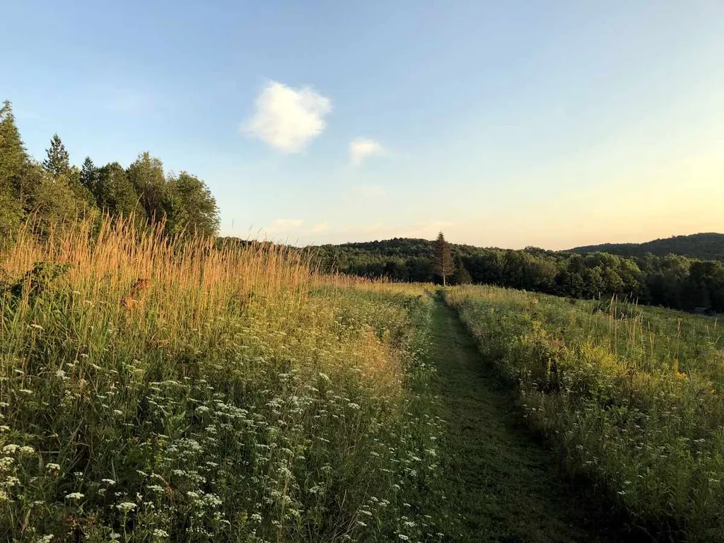3669 E Hill Road Plainfield VT 05667