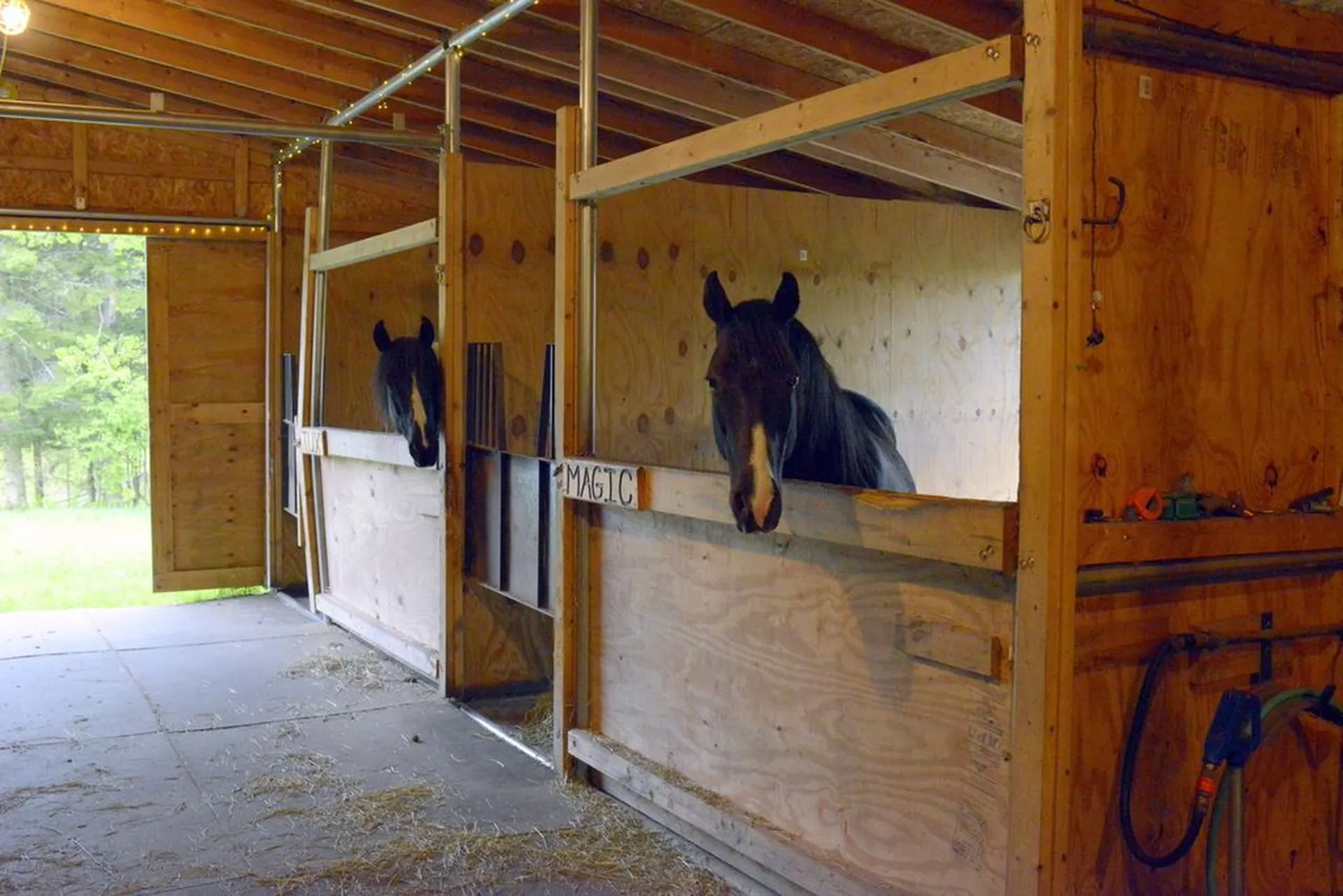 3669 E Hill Road Plainfield VT 05667