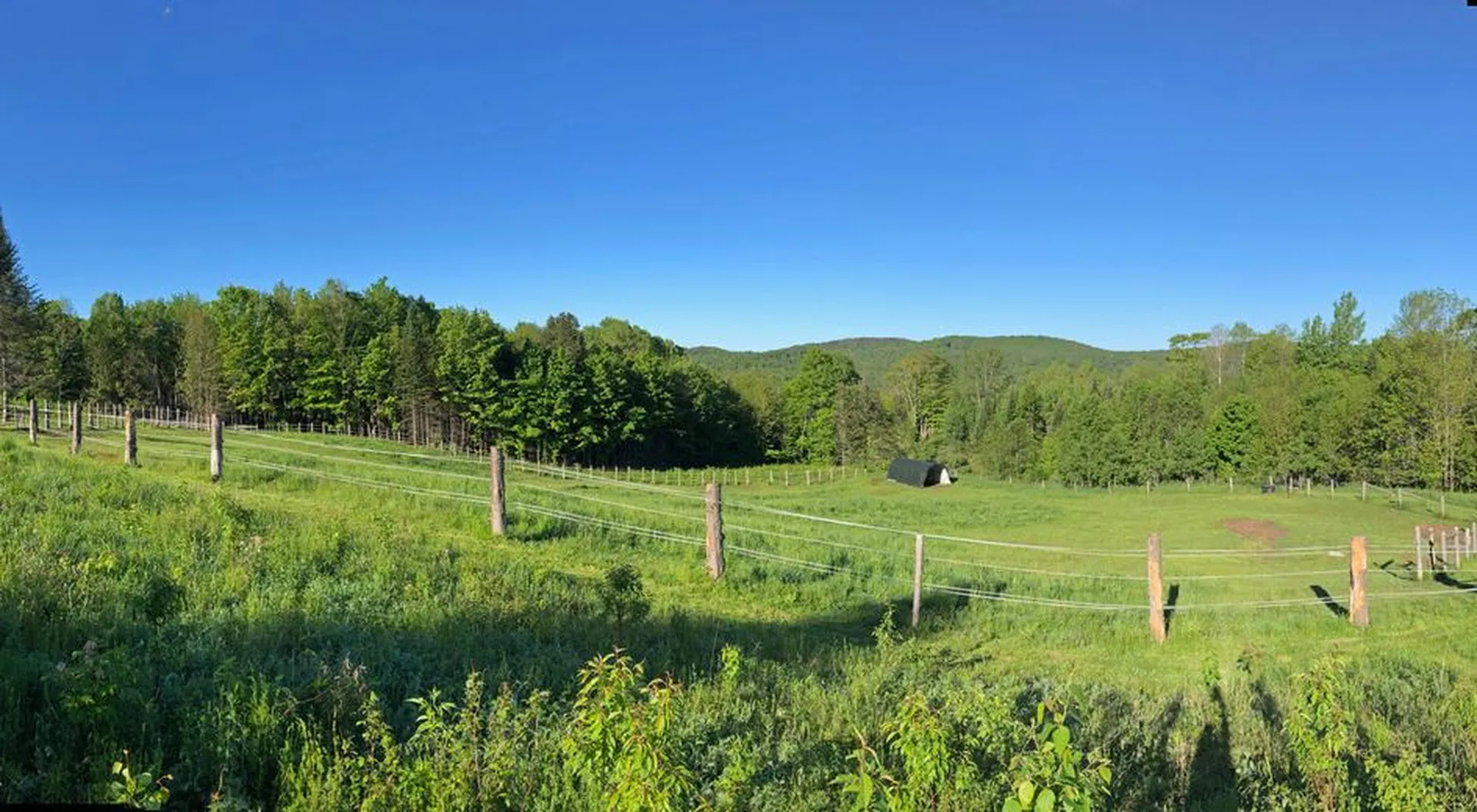 3669 E Hill Road Plainfield VT 05667