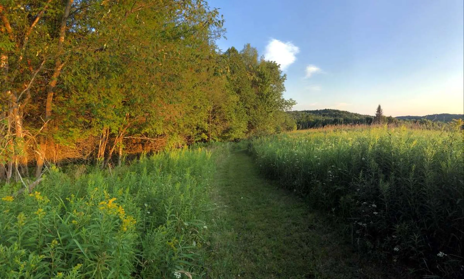 3669 E Hill Road Plainfield VT 05667