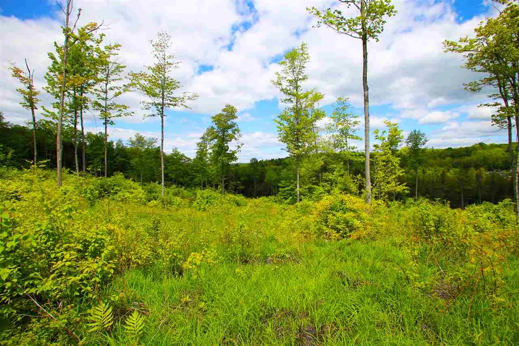119 Henderson Road Nelson NH 03457