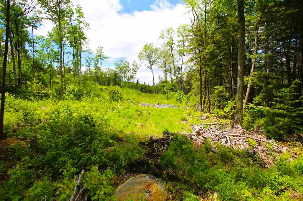 119 Henderson Road Nelson NH 03457