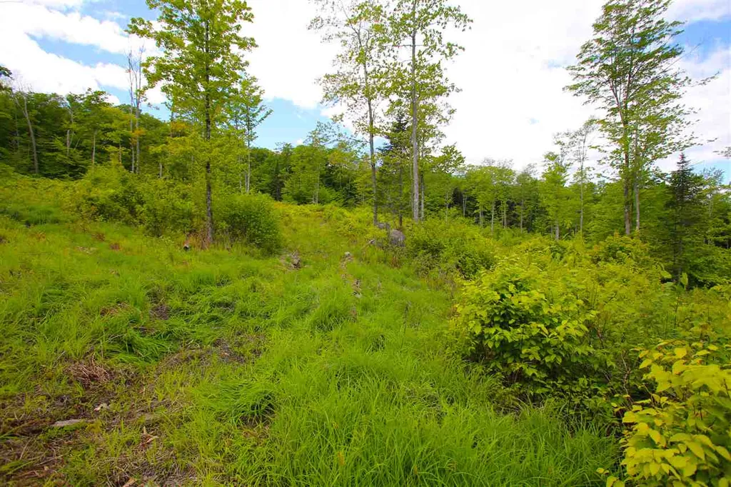 119 Henderson Road Nelson NH 03457