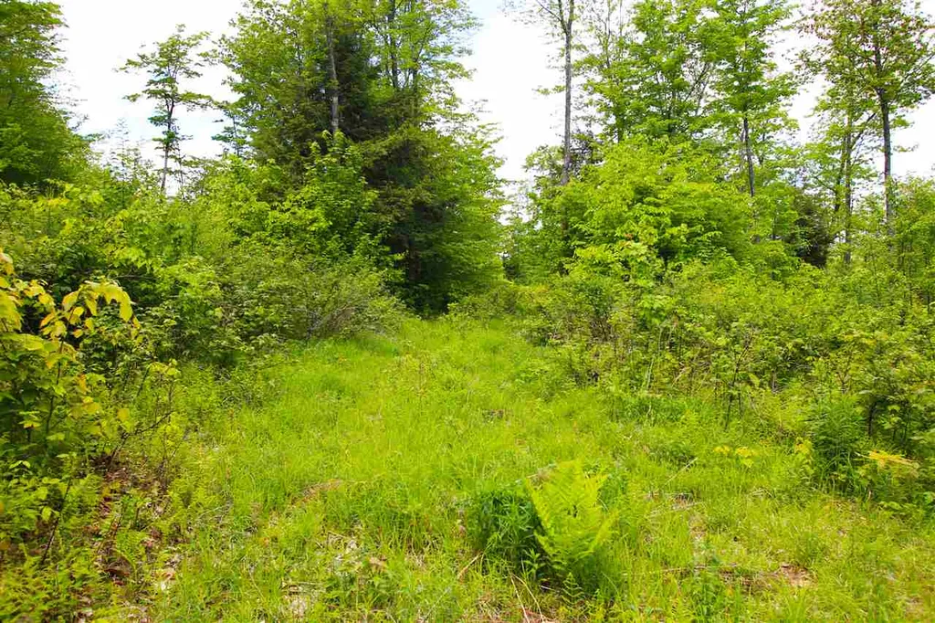 119 Henderson Road Nelson NH 03457