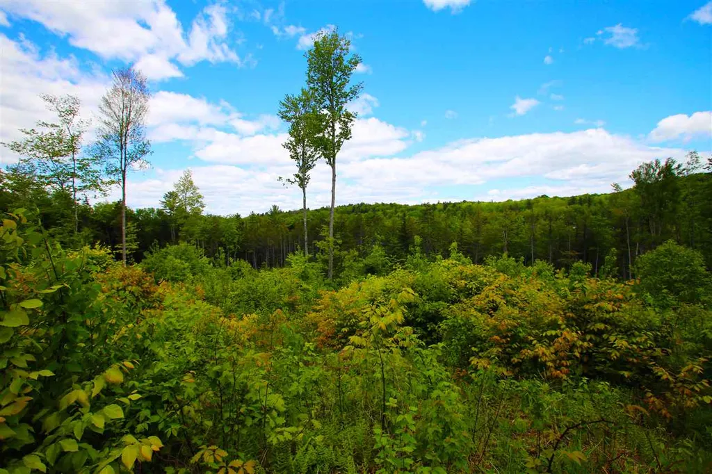 119 Henderson Road Nelson NH 03457