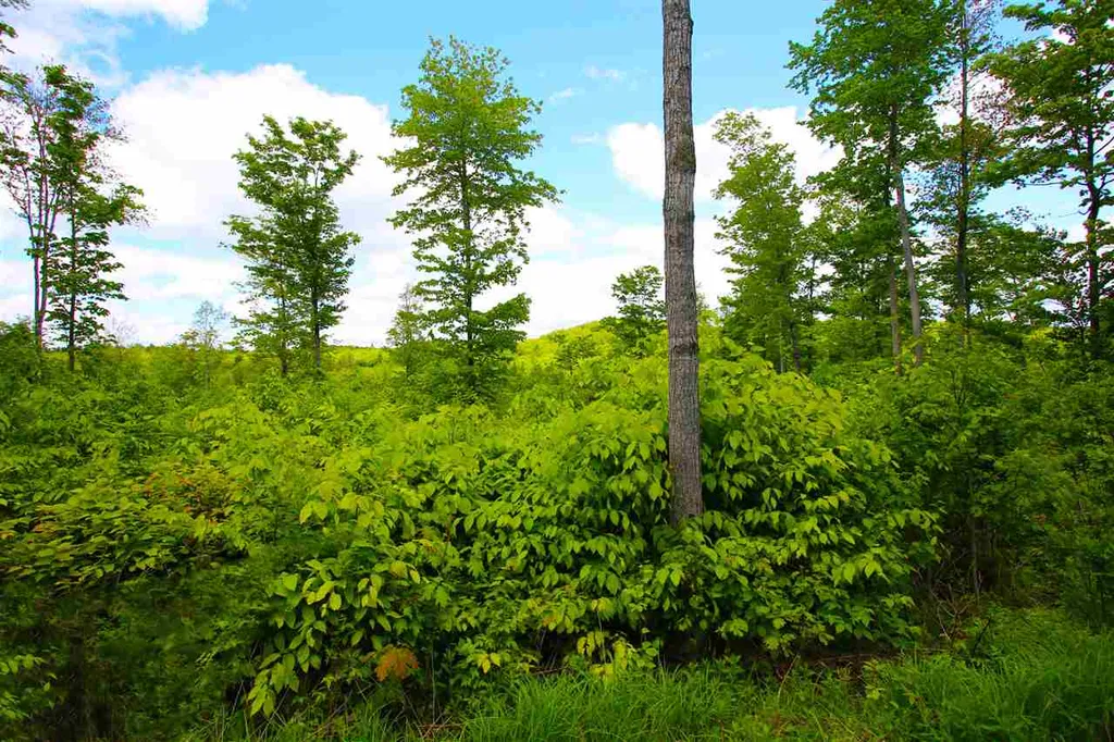 119 Henderson Road Nelson NH 03457
