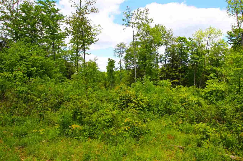 119 Henderson Road Nelson NH 03457