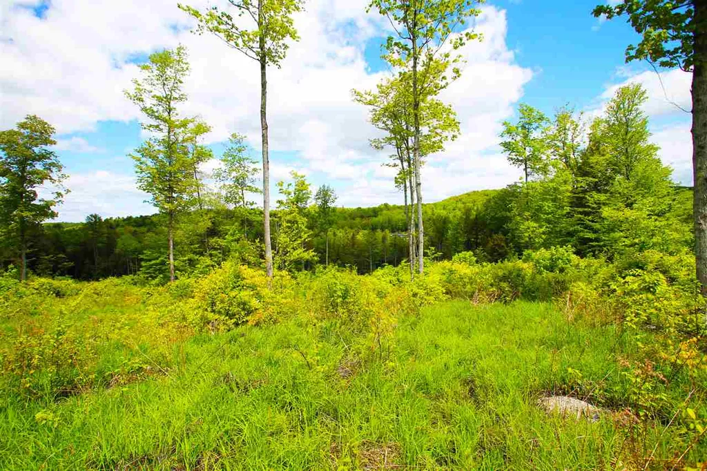 119 Henderson Road Nelson NH 03457