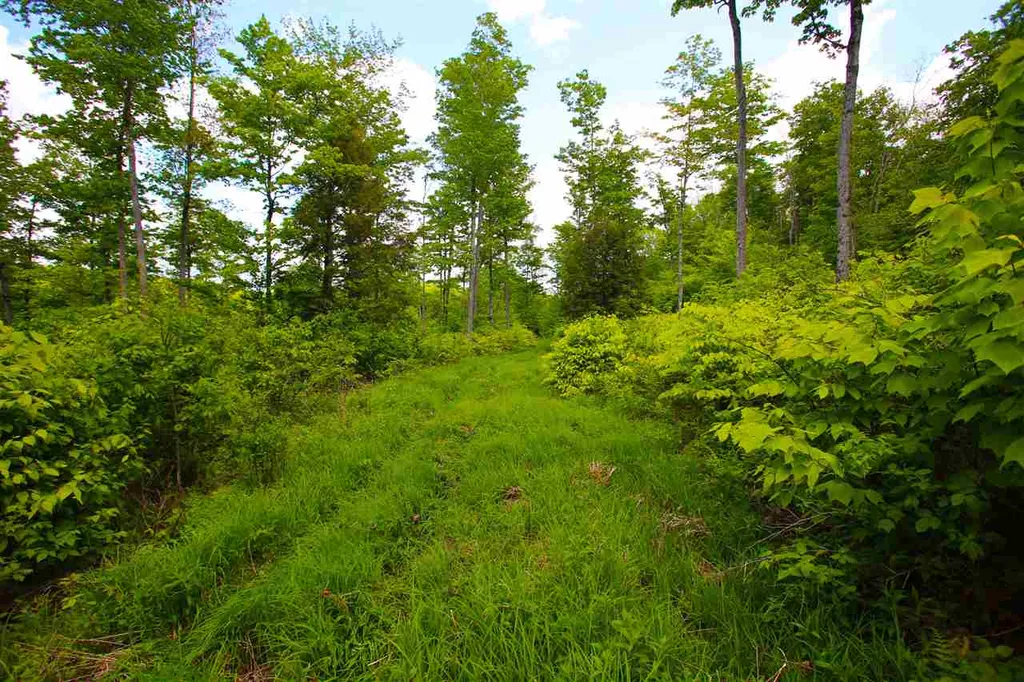 119 Henderson Road Nelson NH 03457