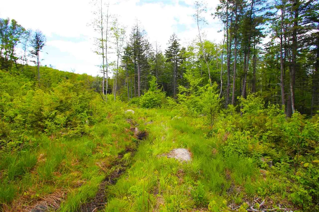 119 Henderson Road Nelson NH 03457