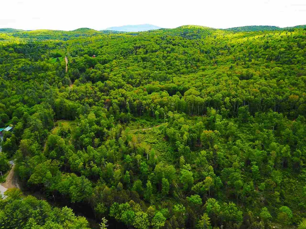 119 Henderson Road Nelson NH 03457