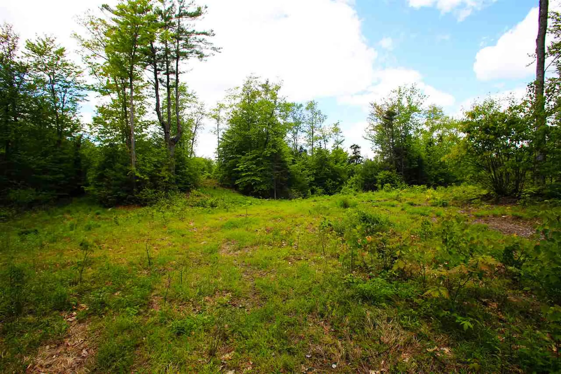 119 Henderson Road Nelson NH 03457