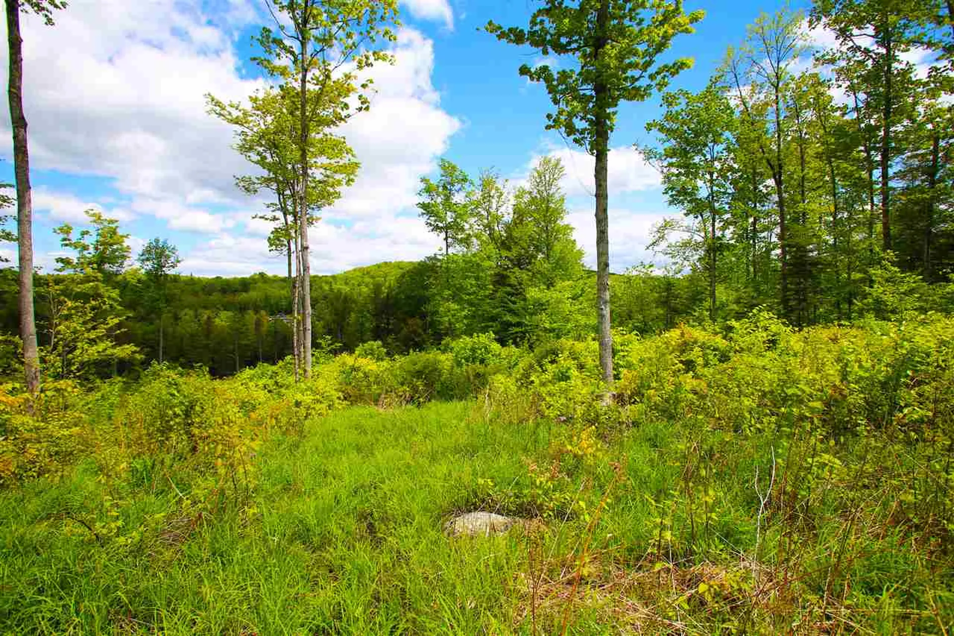 119 Henderson Road Nelson NH 03457