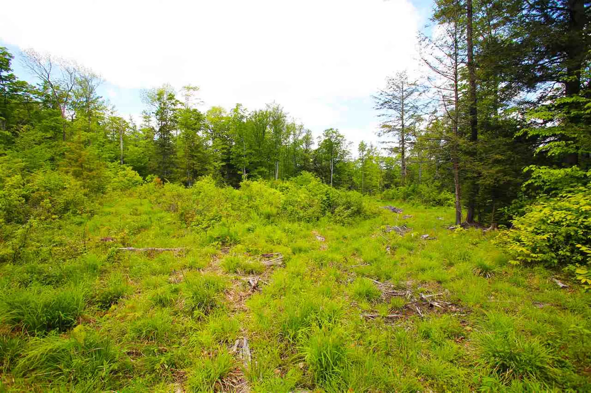 119 Henderson Road Nelson NH 03457