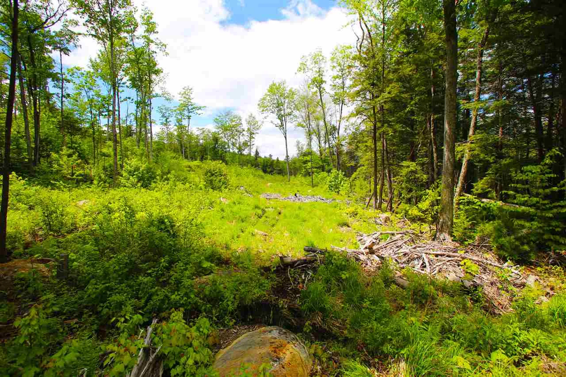119 Henderson Road Nelson NH 03457