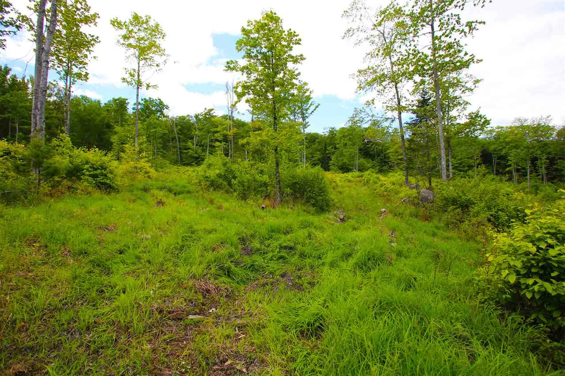 119 Henderson Road Nelson NH 03457