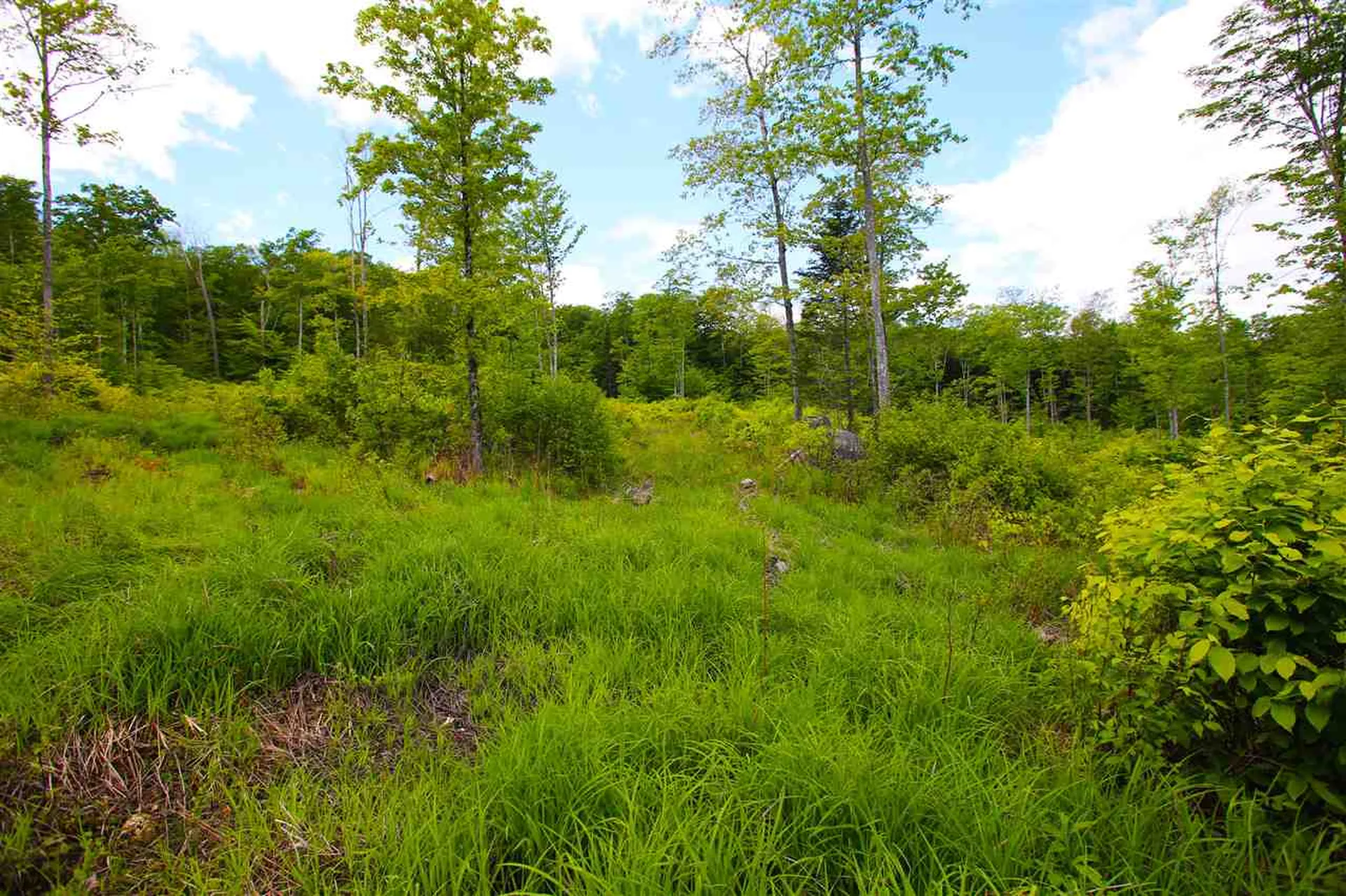 119 Henderson Road Nelson NH 03457
