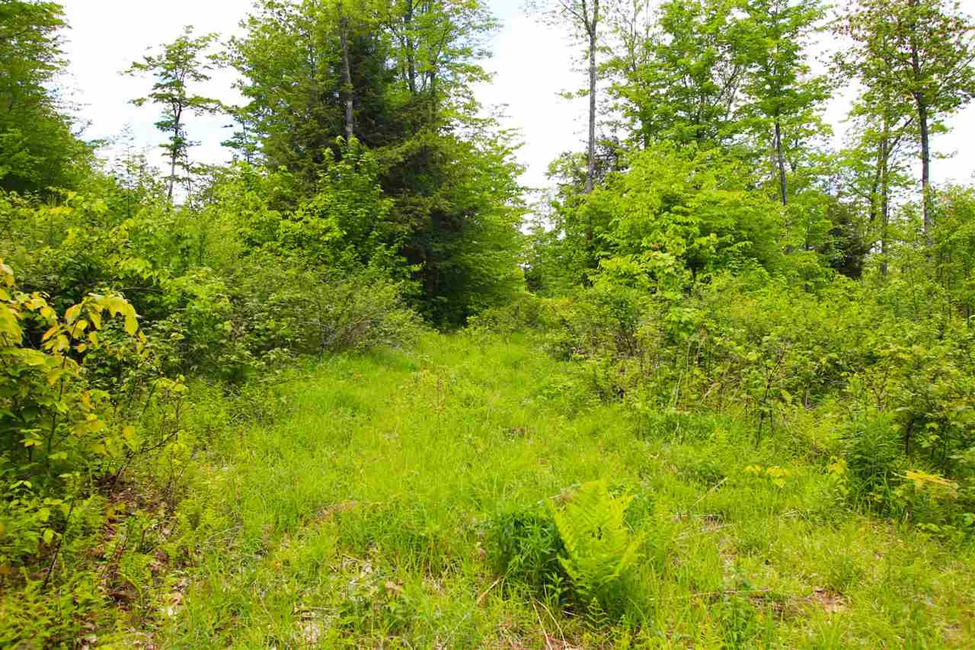 119 Henderson Road Nelson NH 03457