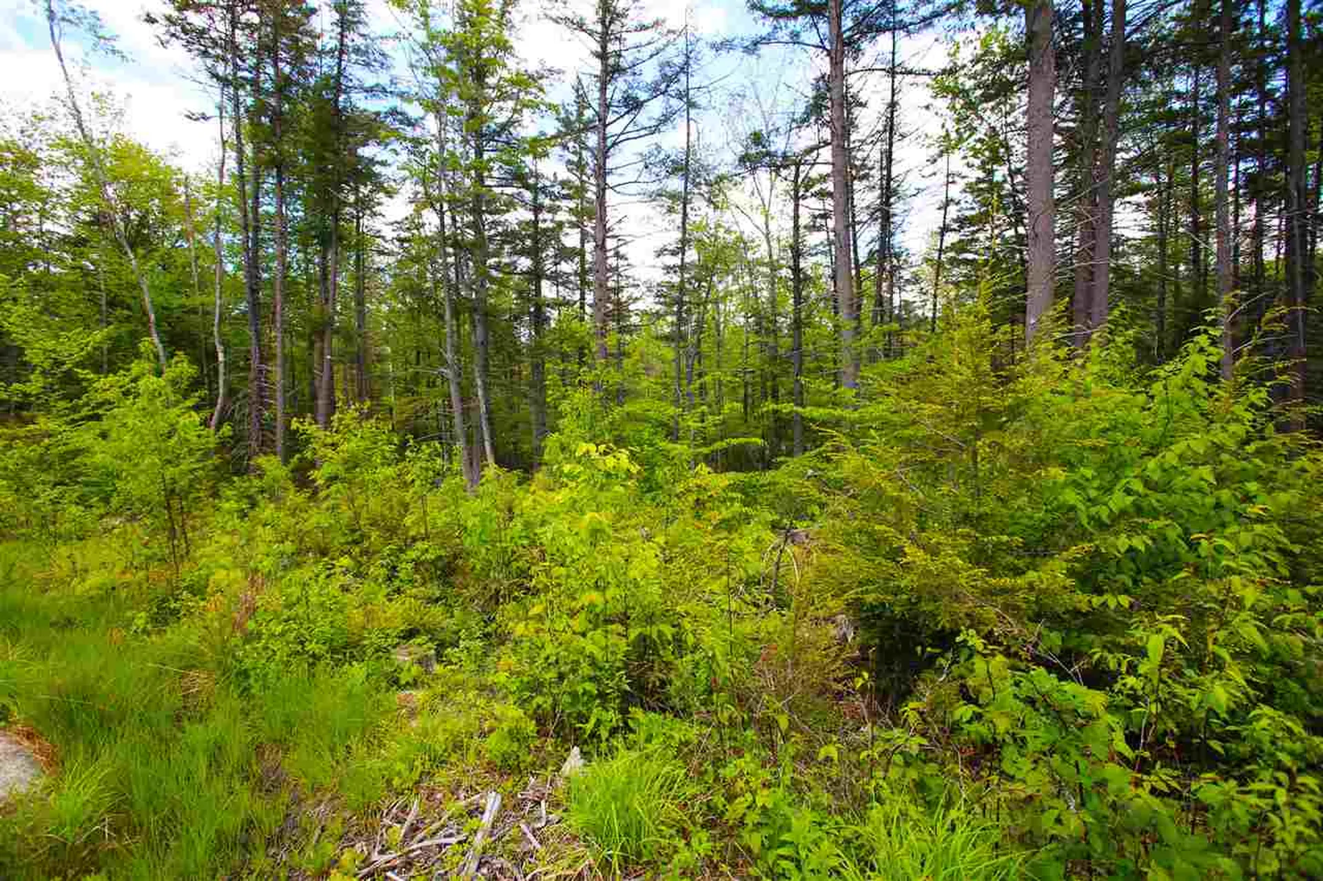 119 Henderson Road Nelson NH 03457