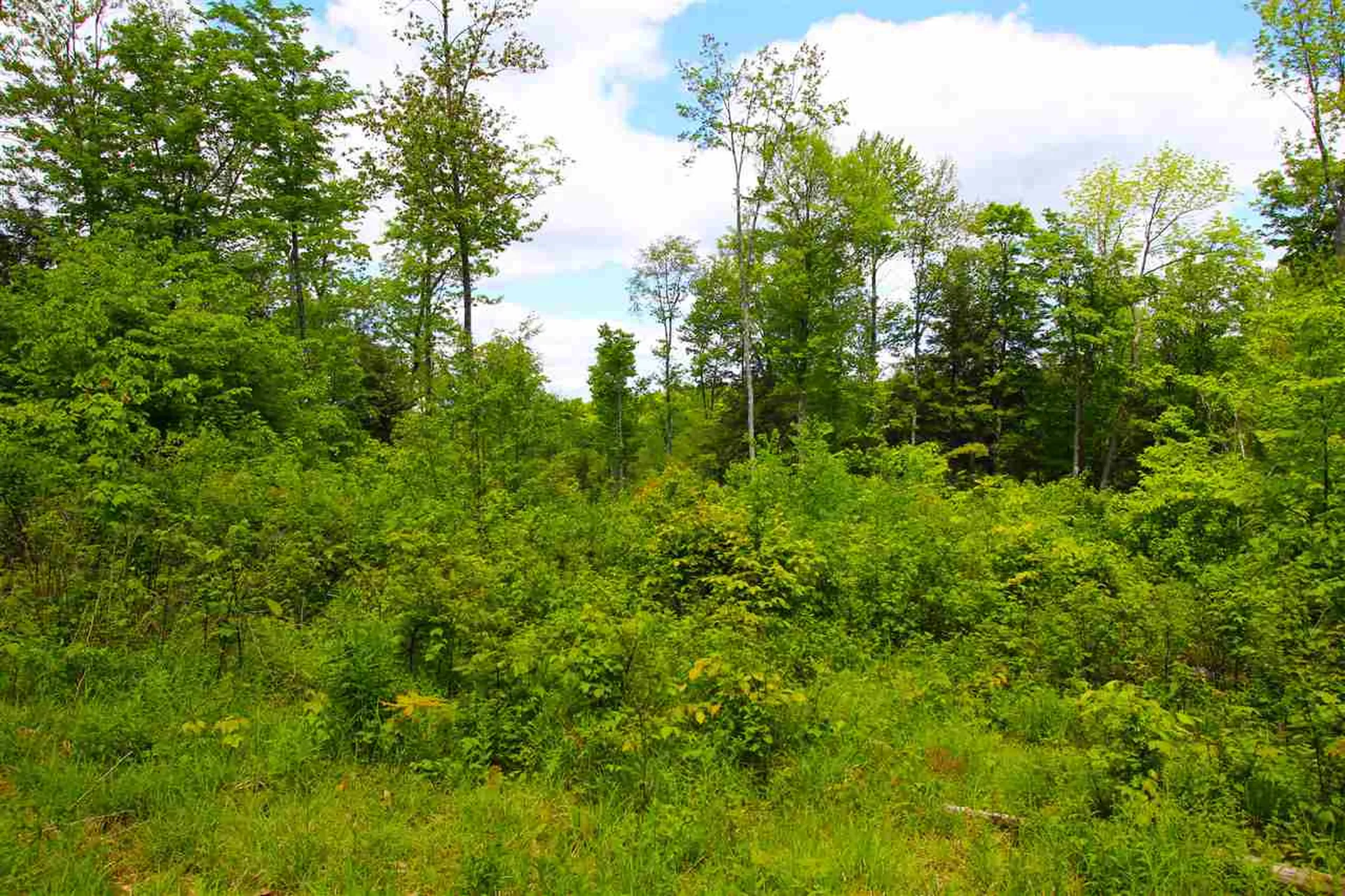 119 Henderson Road Nelson NH 03457