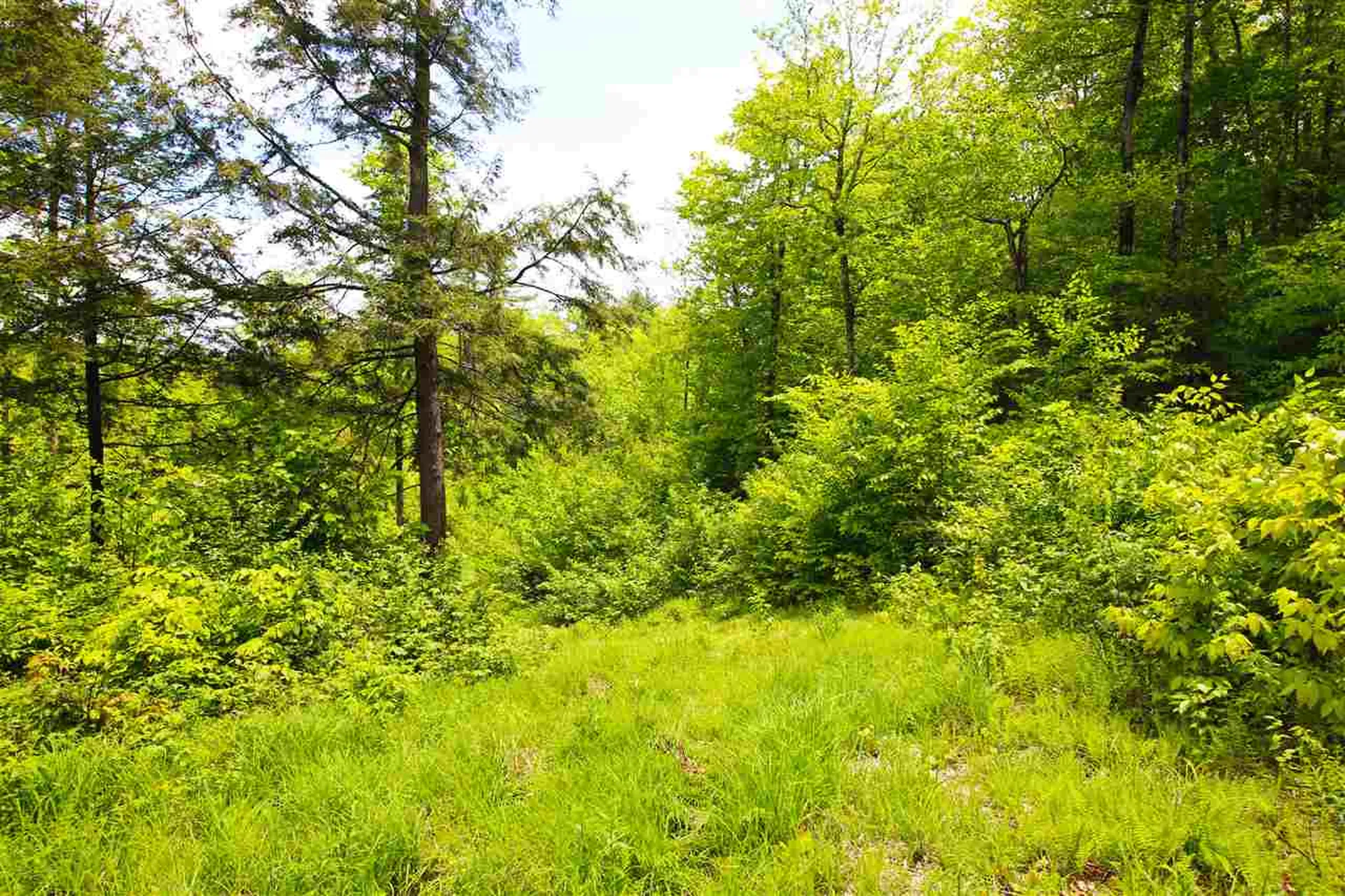 119 Henderson Road Nelson NH 03457