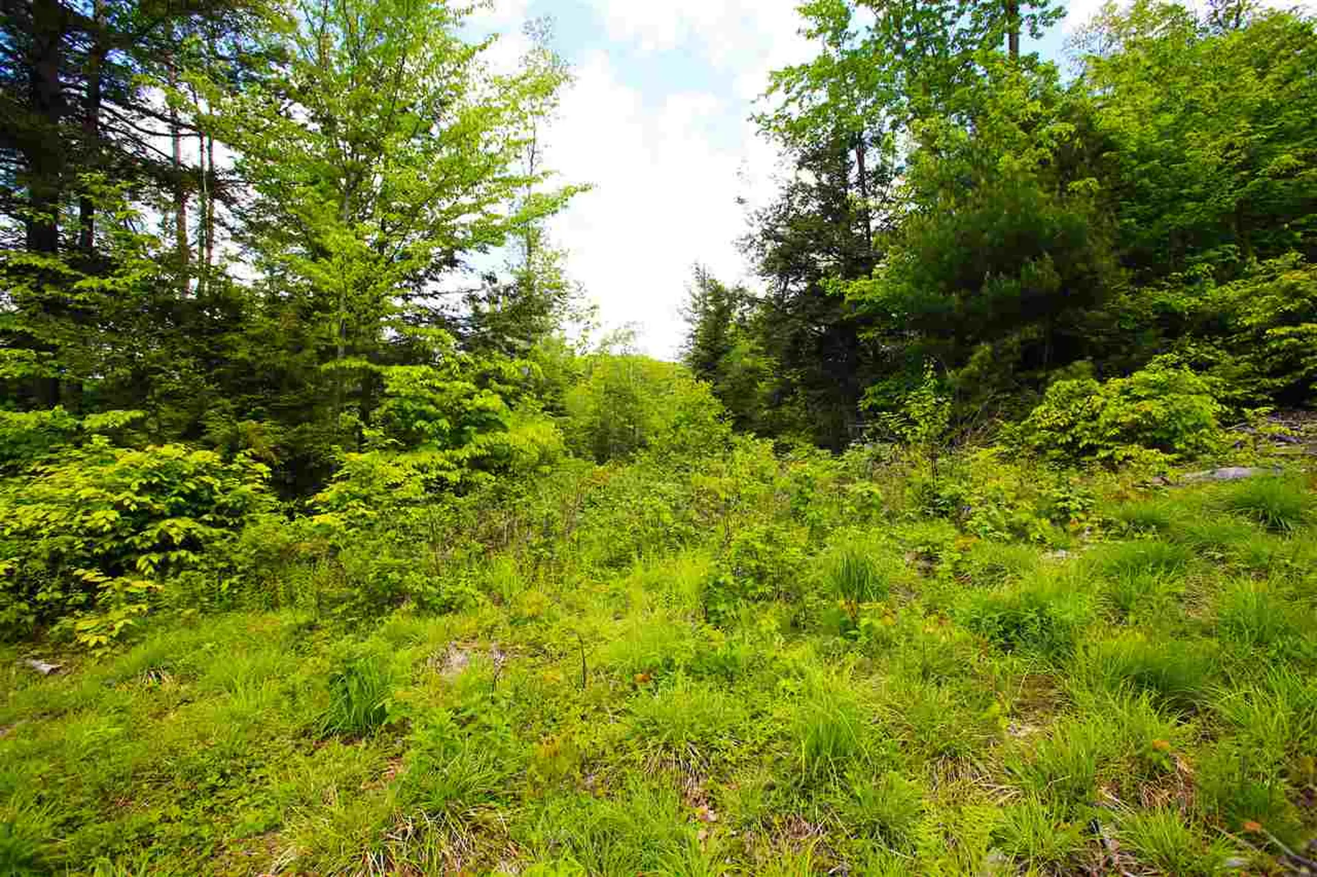 119 Henderson Road Nelson NH 03457