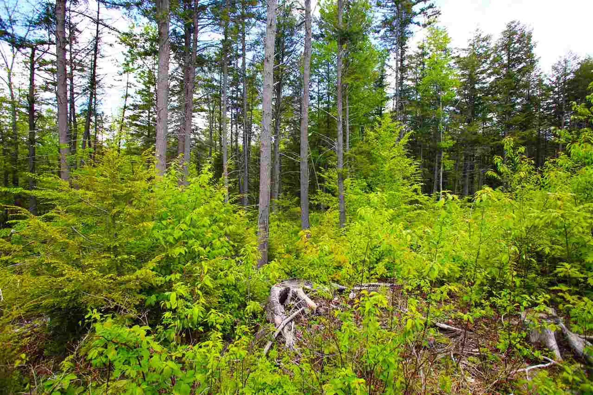 119 Henderson Road Nelson NH 03457
