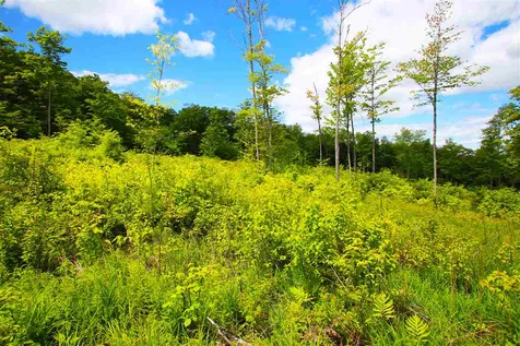 119 Henderson Road Nelson NH 03457
