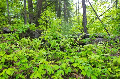 119 Henderson Road Nelson NH 03457