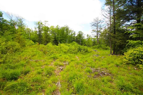 119 Henderson Road Nelson NH 03457