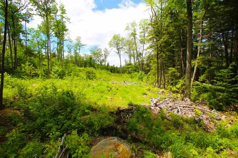 119 Henderson Road Nelson NH 03457