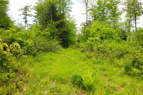 119 Henderson Road Nelson NH 03457