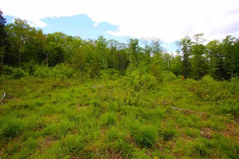119 Henderson Road Nelson NH 03457