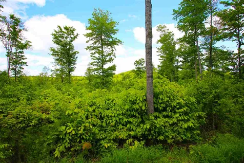 119 Henderson Road Nelson NH 03457